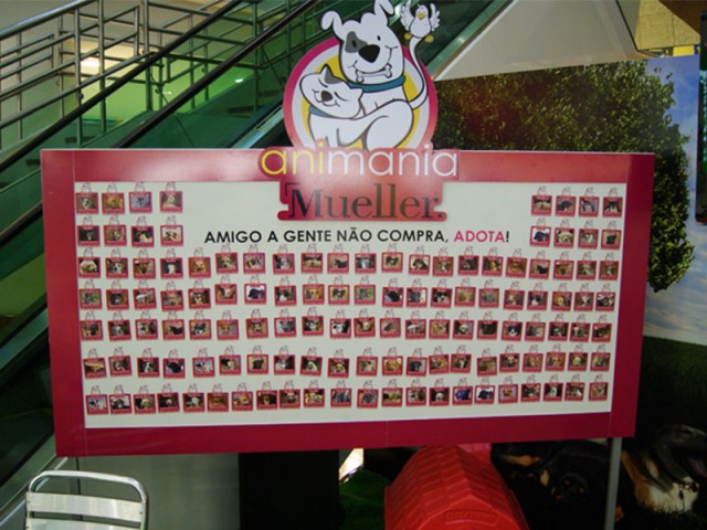 Animania